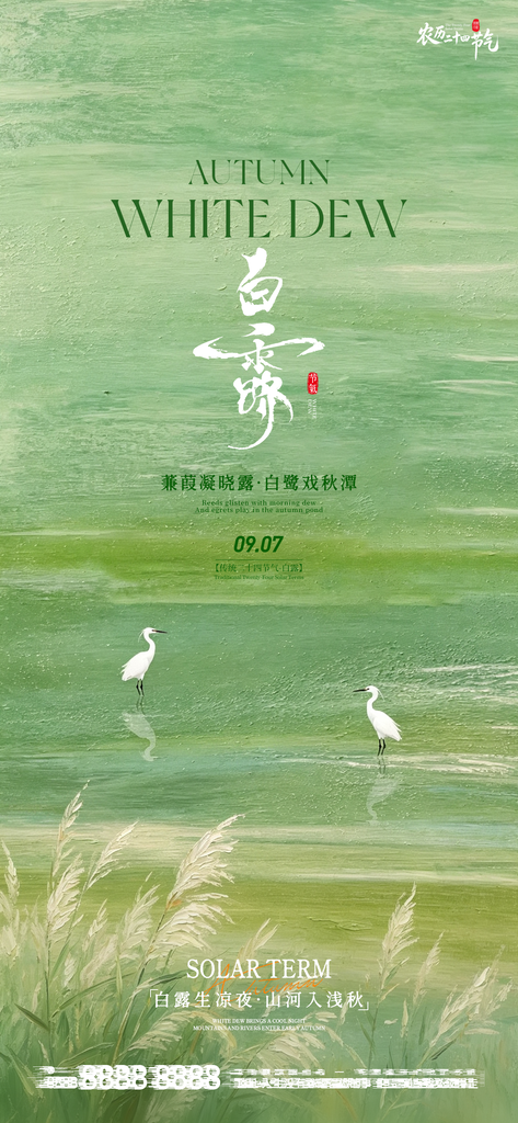 白露创意节气手机宣传海报