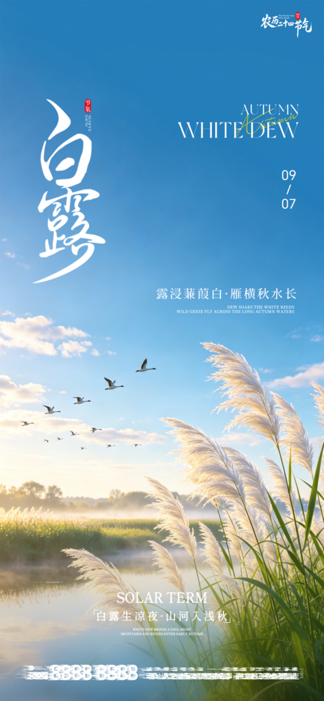 二十四节气白露创意手机宣传海报