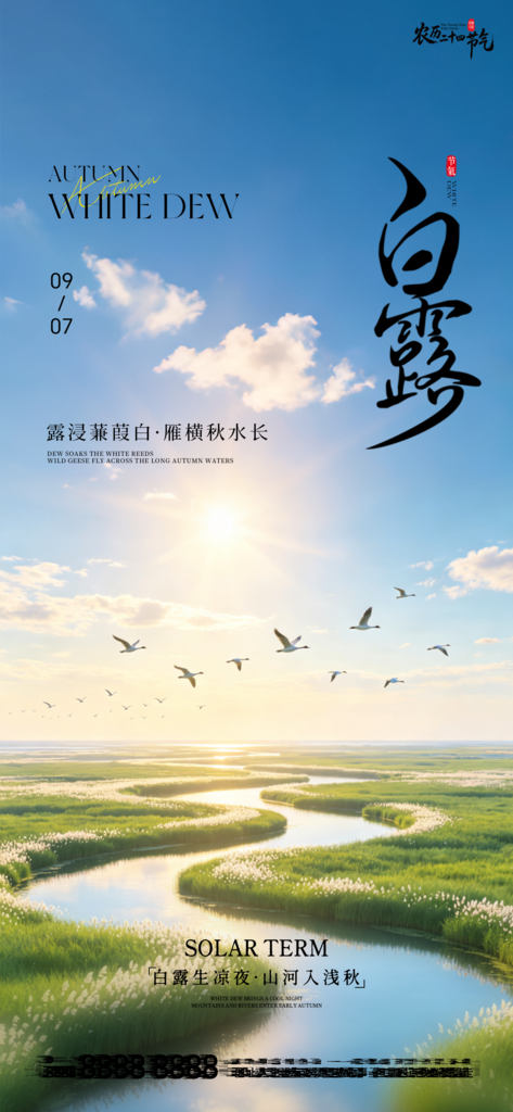 二十四节气白露创意手机宣传海报