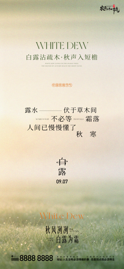 二十四节气白露创意手机宣传海报