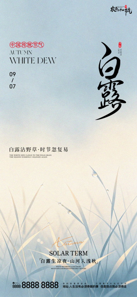白露创意二十四节气手机宣传海报