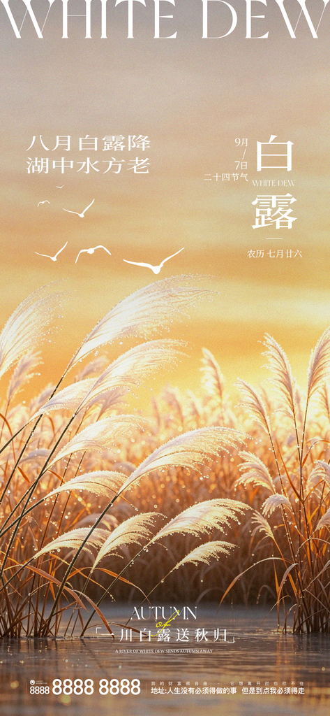 白露二十四节气手机创意宣传海报