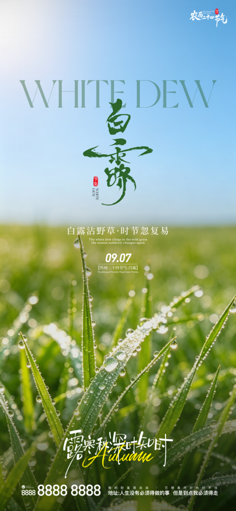 二十四节气白露手机创意宣传海报