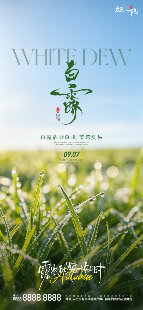 二十四节气白露手机创意宣传海报