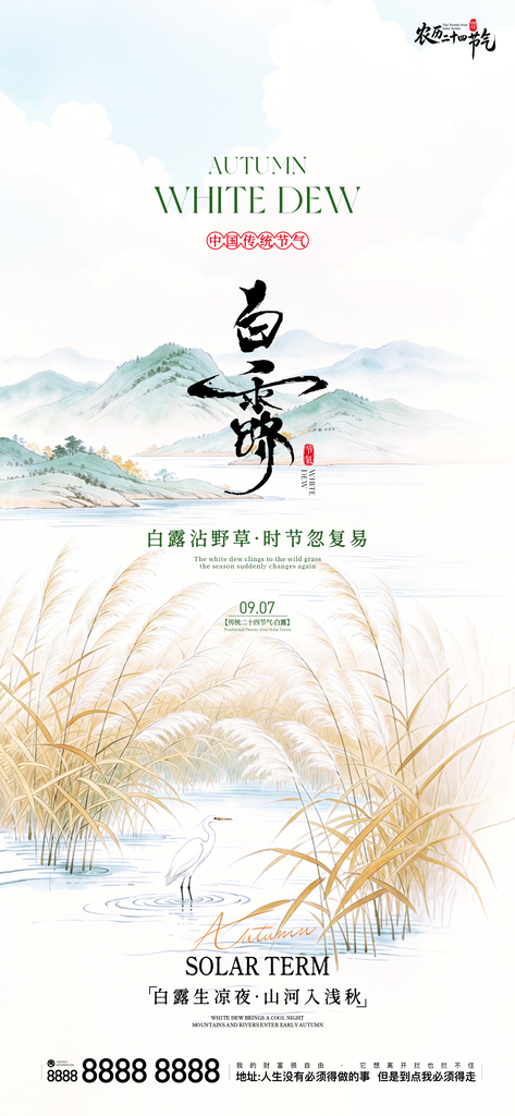 二十四节气白露手机创意宣传海报