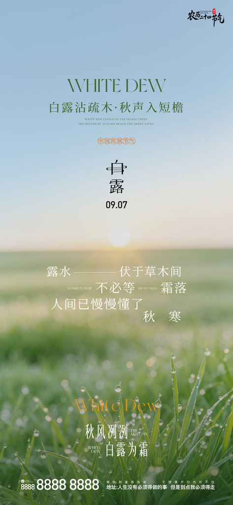 二十四节气白露手机创意宣传海报