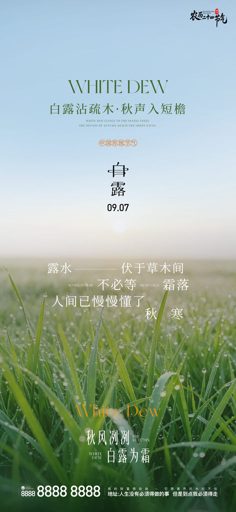 二十四节气白露手机创意宣传海报