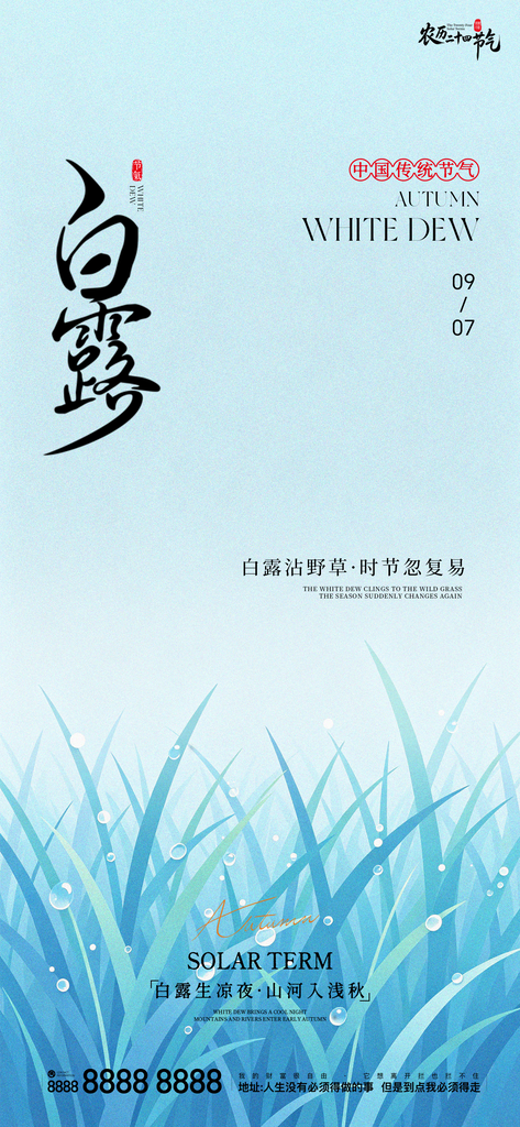 二十四节气白露手机创意宣传海报