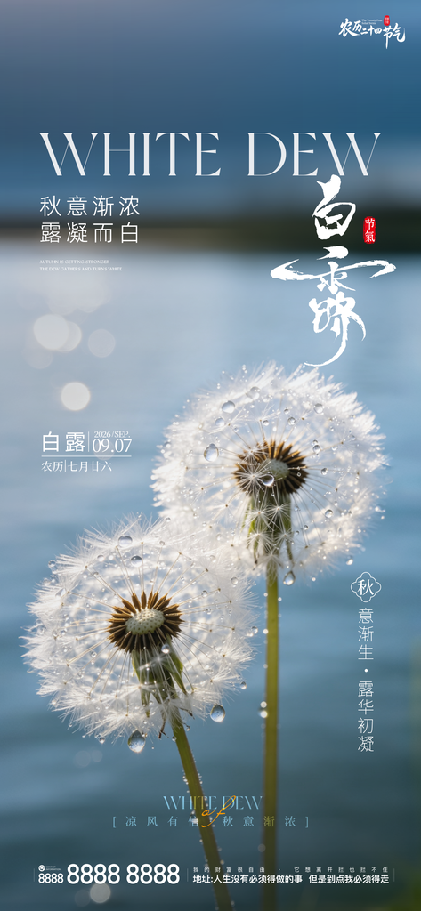 白露创意二十四节气手机宣传海报