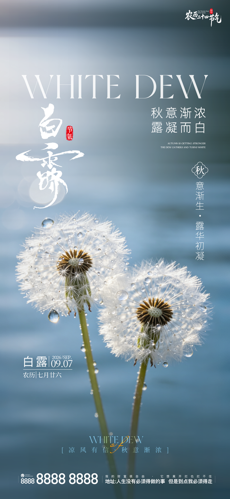 白露创意二十四节气手机宣传海报
