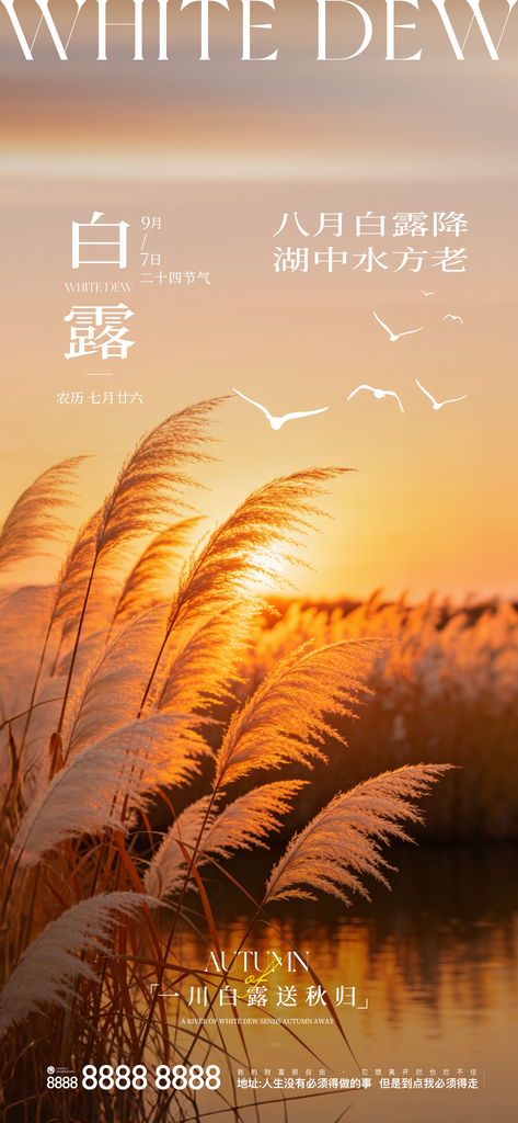 白露创意二十四节气手机宣传海报