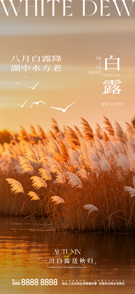 白露创意二十四节气手机宣传海报