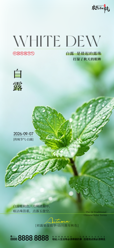 二十四节气白露创意手机宣传海报