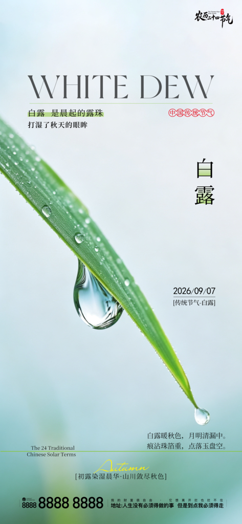 二十四节气白露创意手机宣传海报