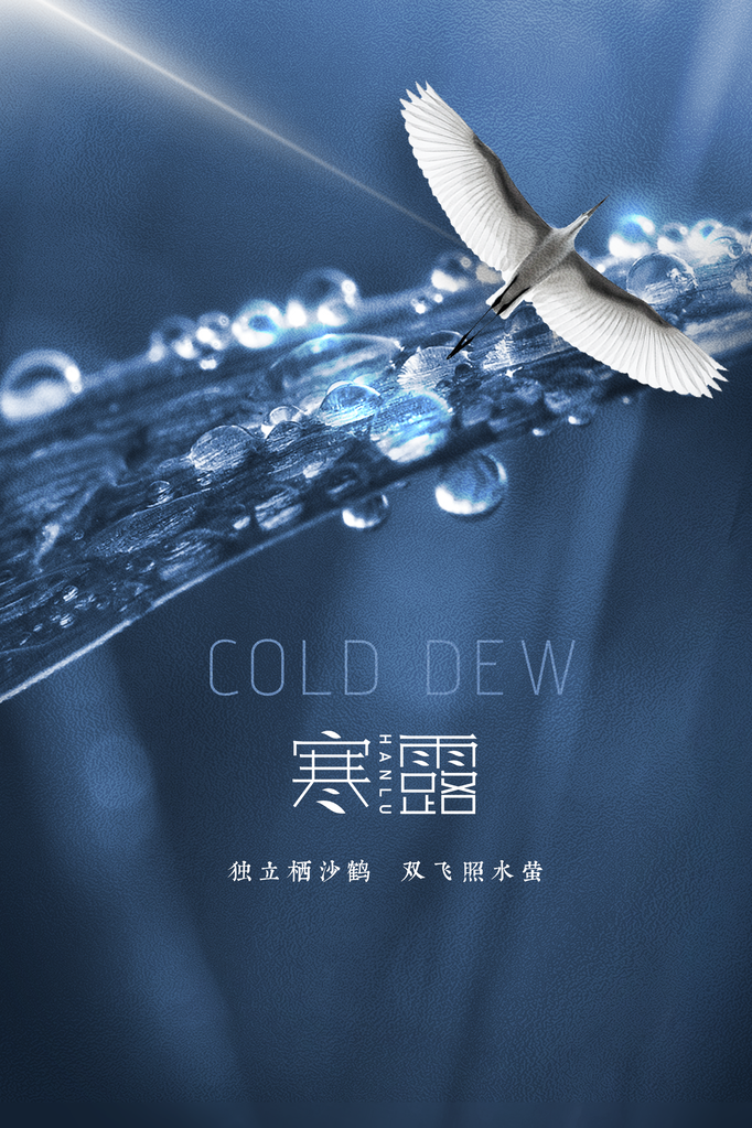 寒露节气传统海报