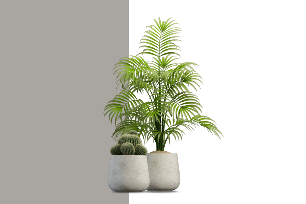 免抠室内盆栽盆景绿植植物装饰摆件贴图摆件