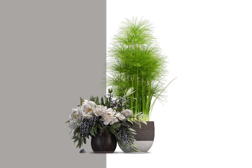 免抠室内盆栽盆景绿植植物装饰摆件贴图摆件