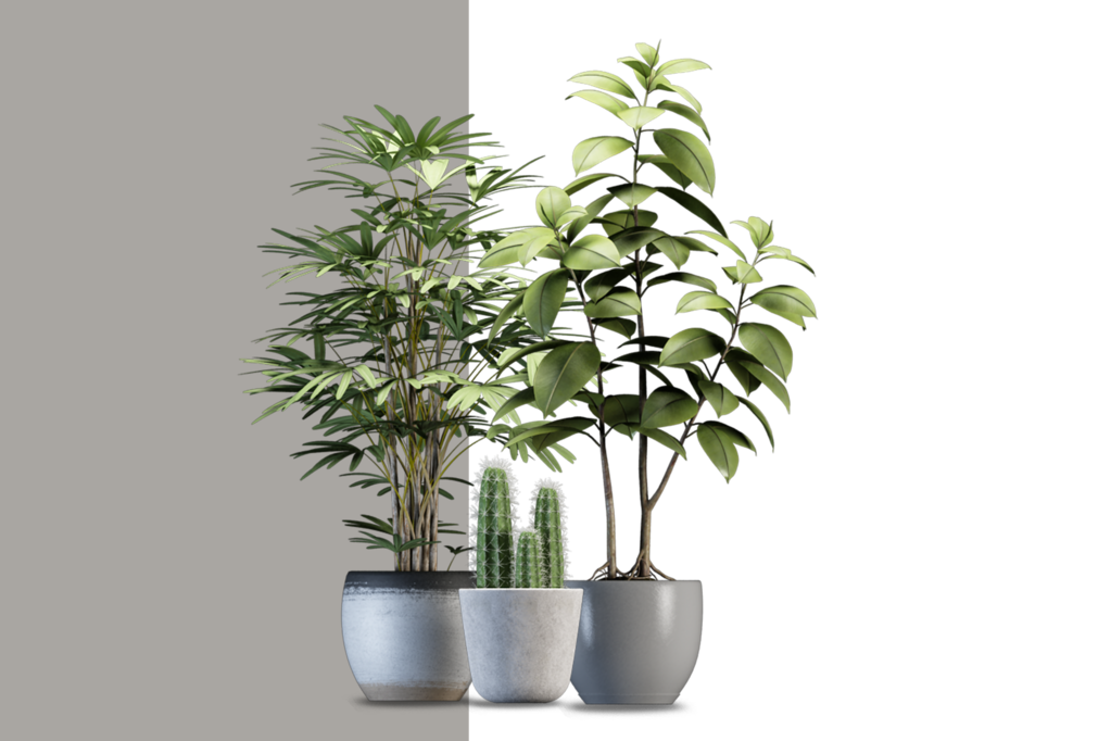 免抠室内盆栽盆景绿植植物装饰摆件贴图摆件