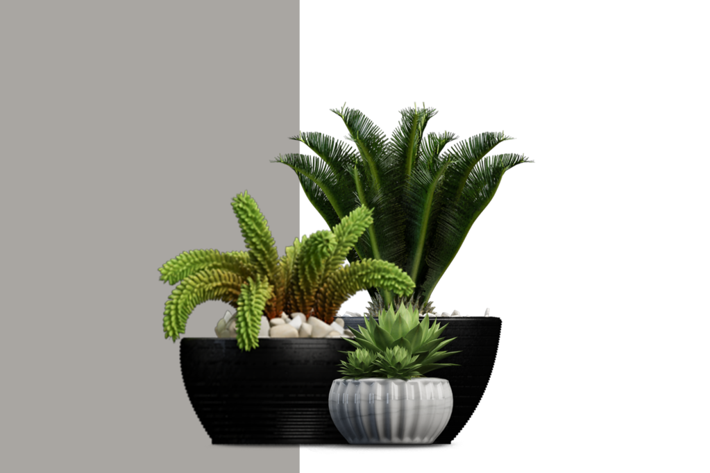 免抠室内盆栽盆景绿植植物装饰摆件