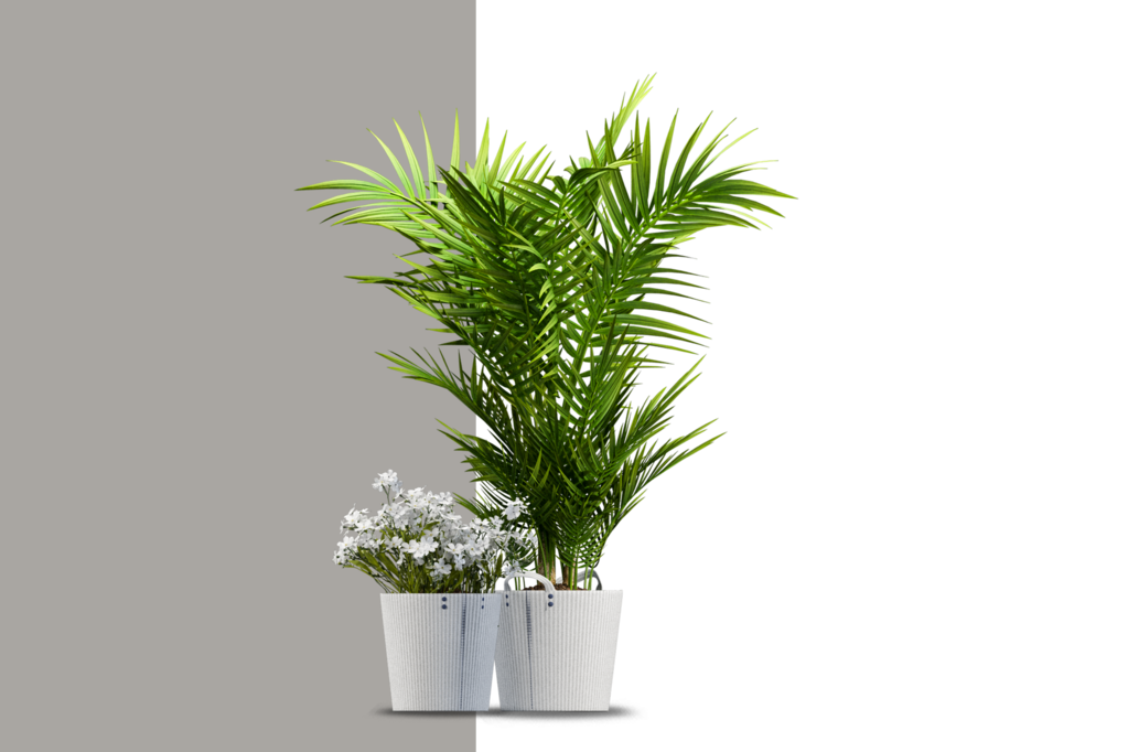 免抠室内盆栽盆景绿植植物装饰摆件贴图摆件