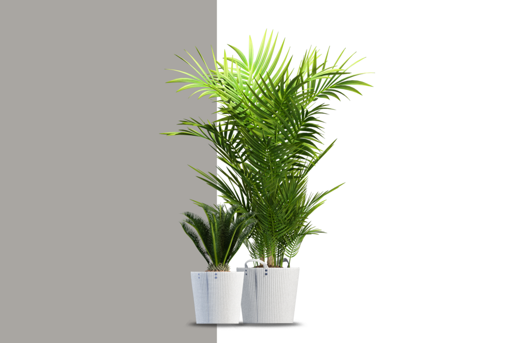 免抠室内盆栽盆景绿植植物装饰摆件贴图摆件