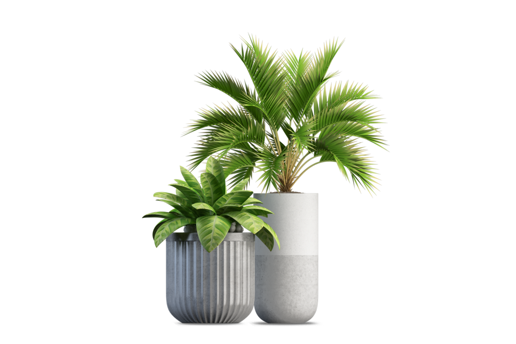 免抠室内盆栽盆景绿植植物装饰摆件贴图摆件