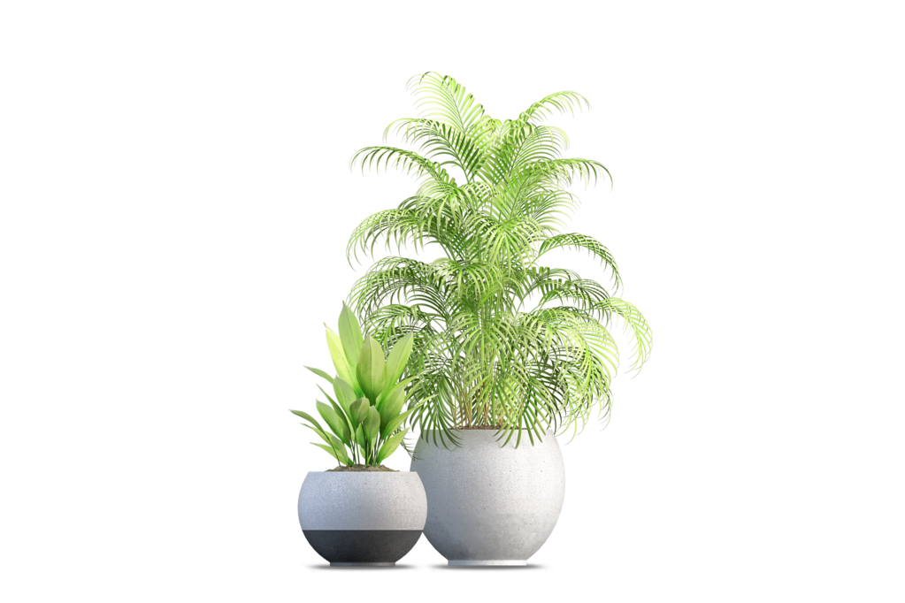 免抠室内盆栽盆景绿植植物装饰摆件贴图摆件