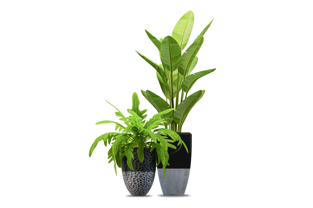 免抠室内盆栽盆景绿植植物装饰摆件贴图摆件