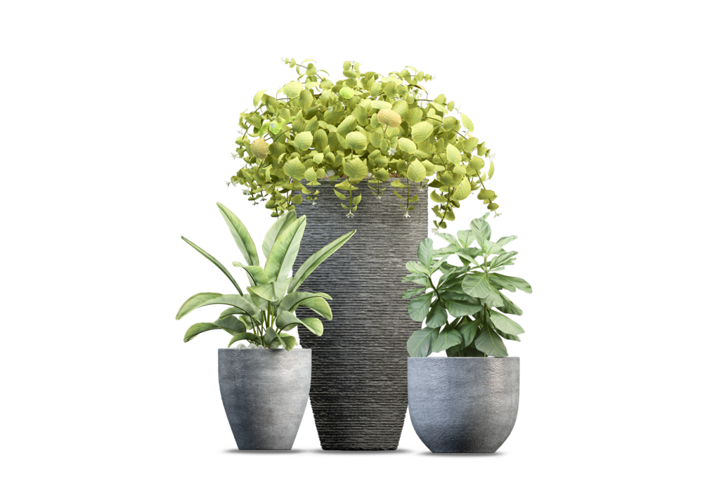 免抠室内盆栽盆景绿植植物装饰摆件贴图摆件