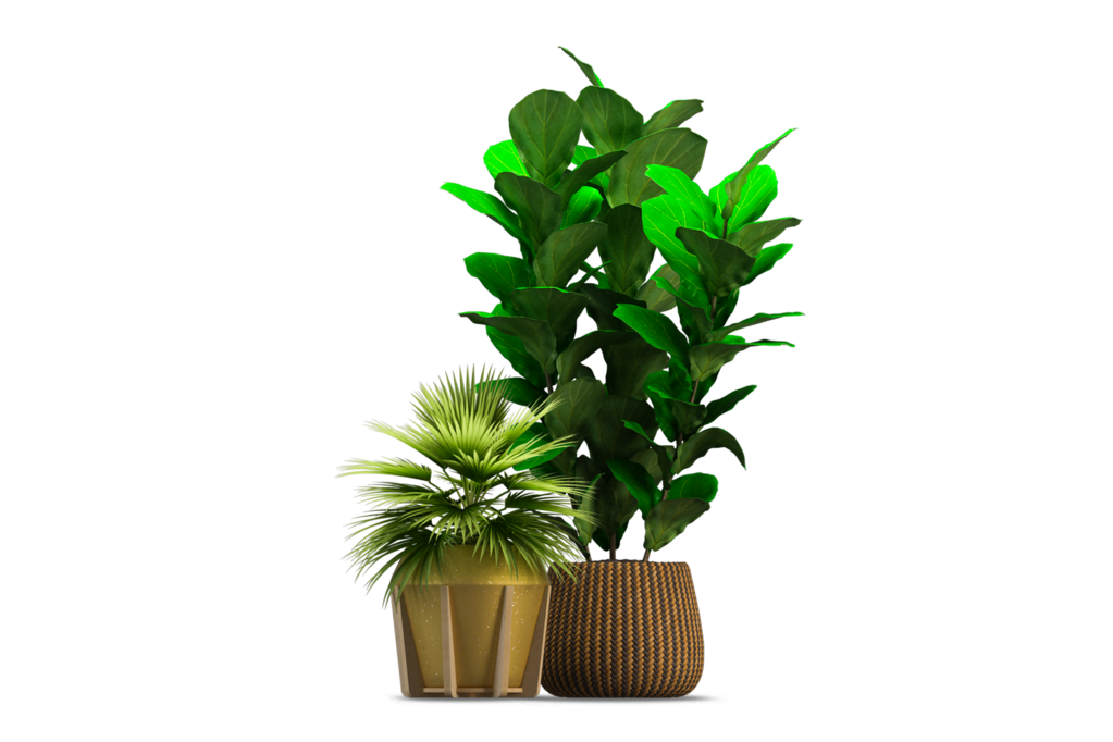免抠室内盆栽盆景绿植植物装饰摆件贴图摆件