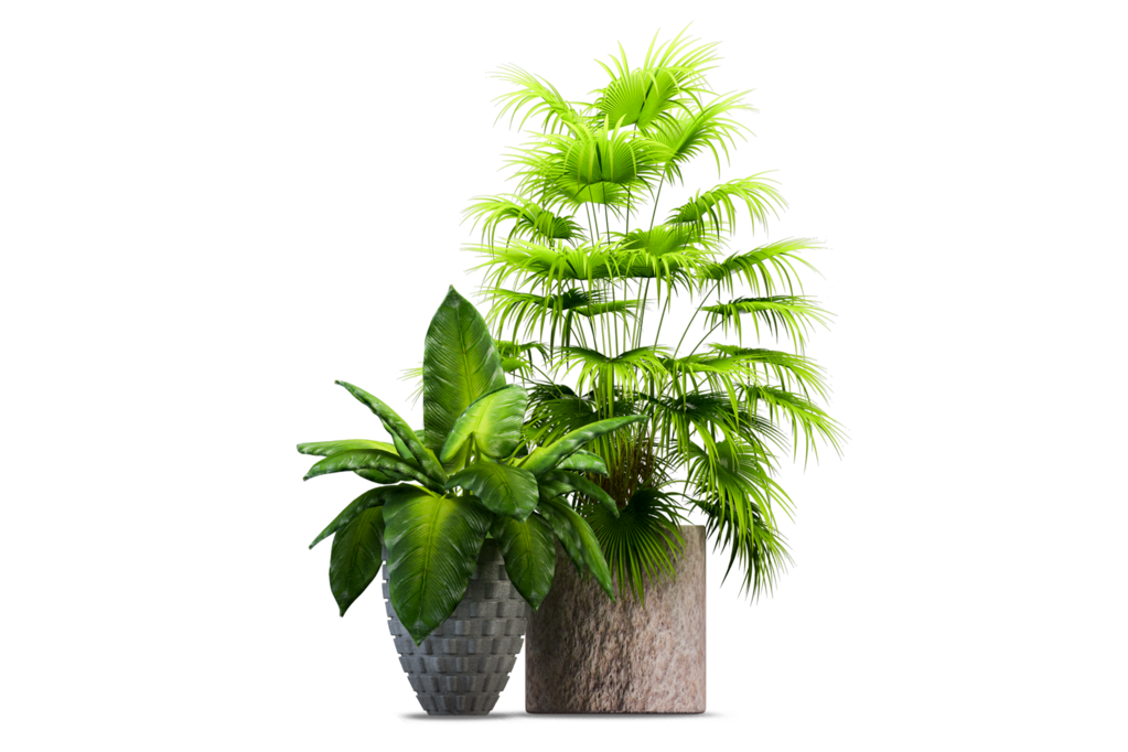 免抠室内盆栽盆景绿植植物装饰摆件贴图摆件