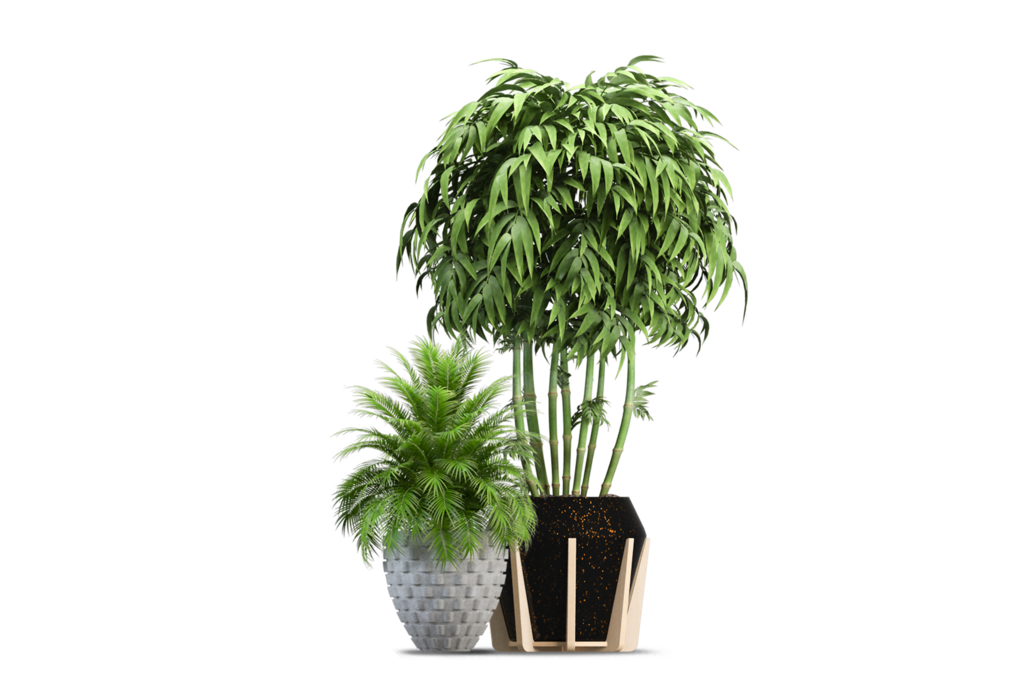 免抠室内盆栽盆景绿植植物装饰摆件贴图摆件