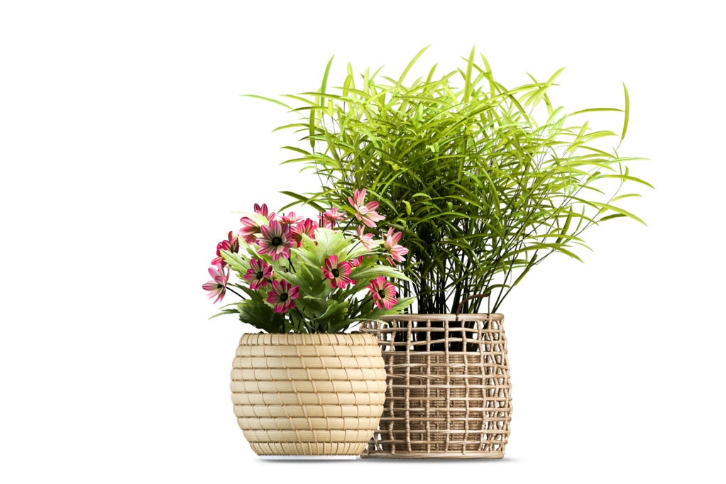免抠室内盆栽盆景绿植植物装饰摆件贴图摆件