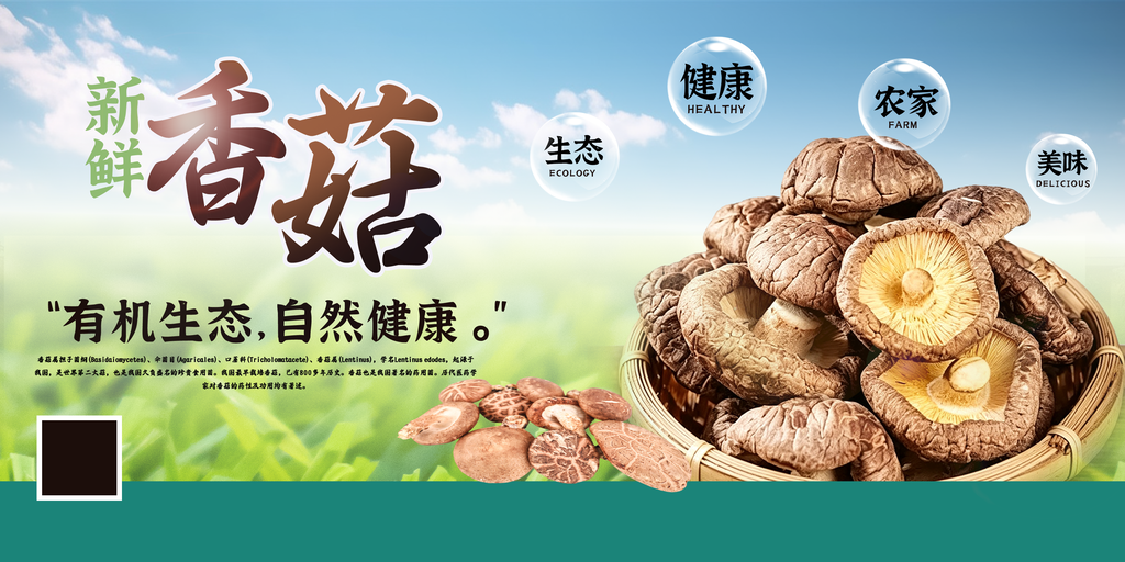 香菇美食展板海报设计