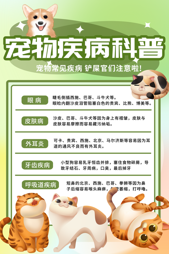 宠物店宠物疾病科普宣传海报