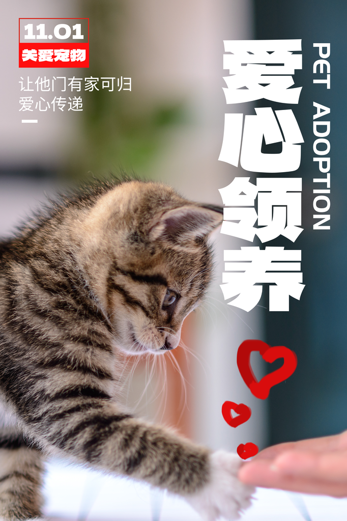宠物店宠物领养宣传海报
