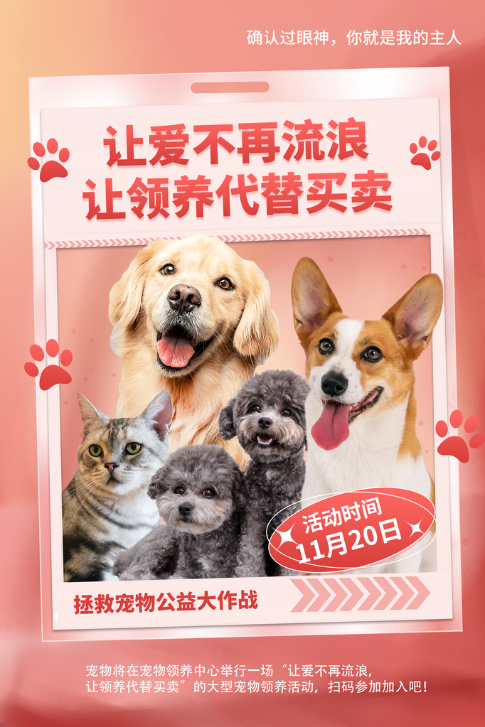 宠物店宠物宣传海报