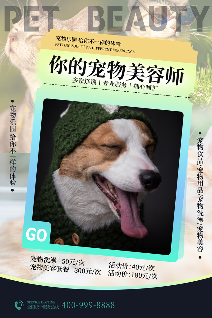 宠物店宠物宣传海报