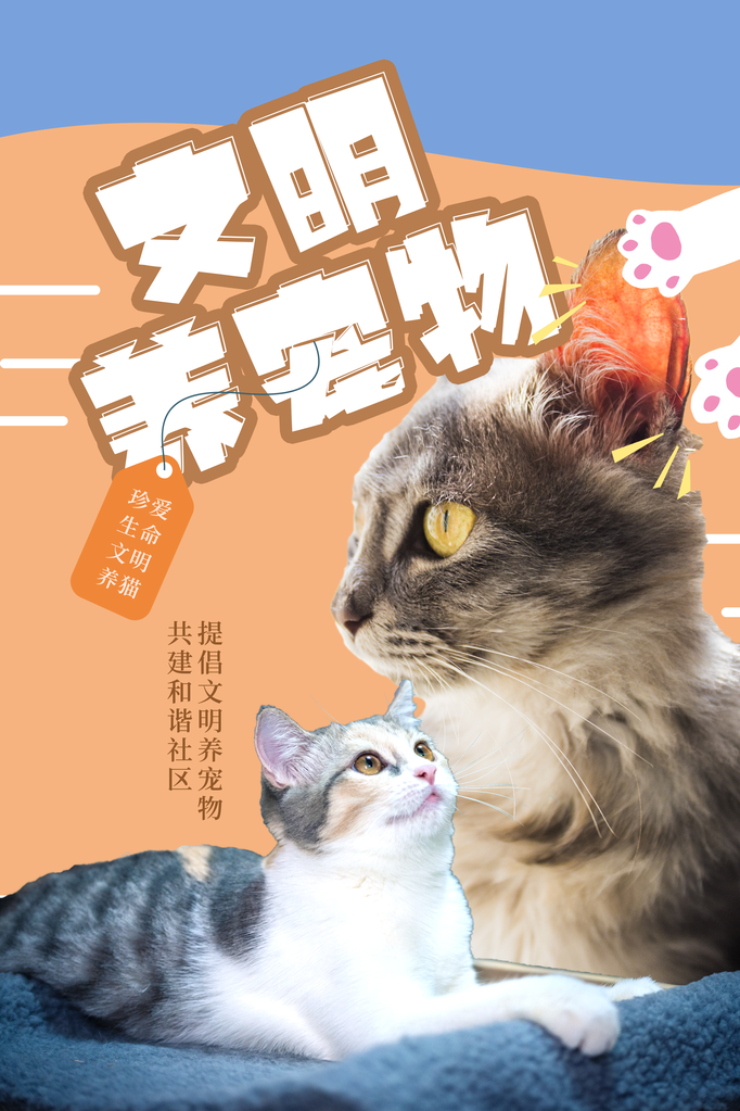 文明养宠宠物店宠物宣传海报