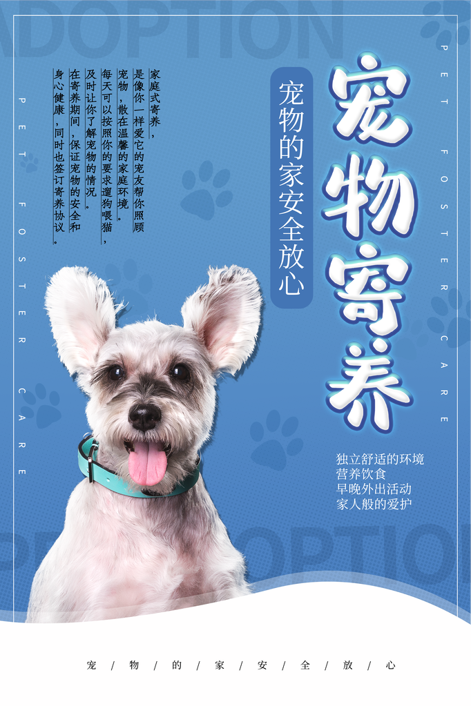 宠物店宠物寄养宣传海报