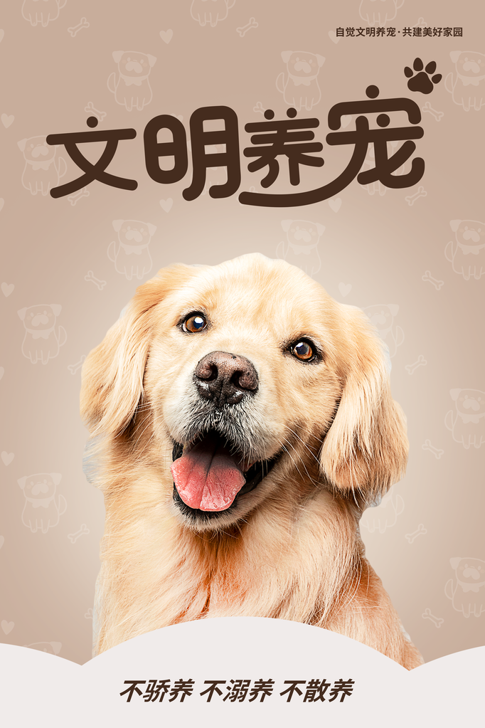 文明养宠宠物店宠物宣传海报