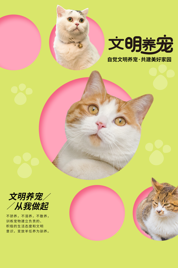 文明养宠宠物店宠物宣传海报