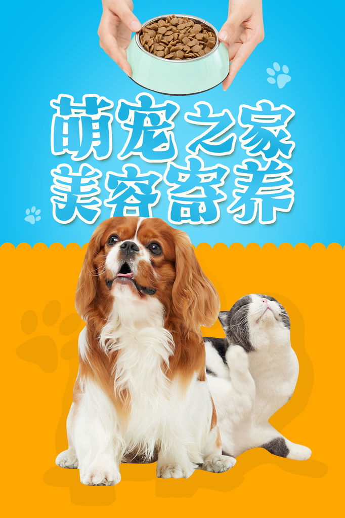 宠物之家宠物店宠物宣传海报