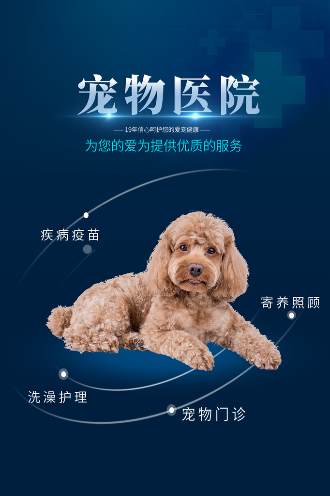 宠物医院宠物诊所宠物店宣传海报