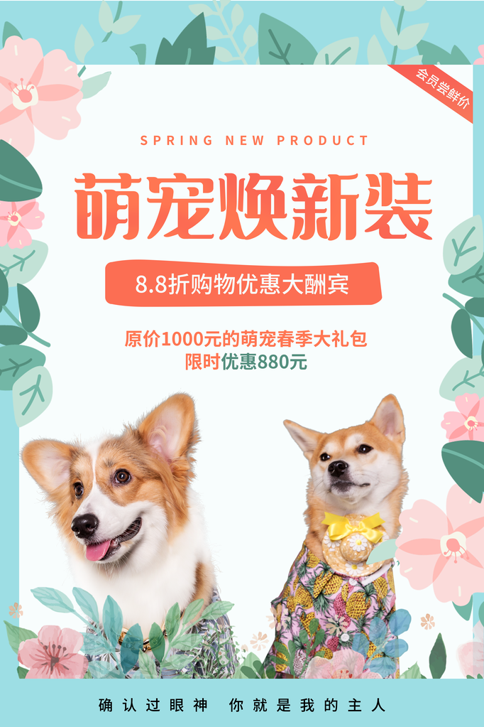 宠物店宠物宣传海报