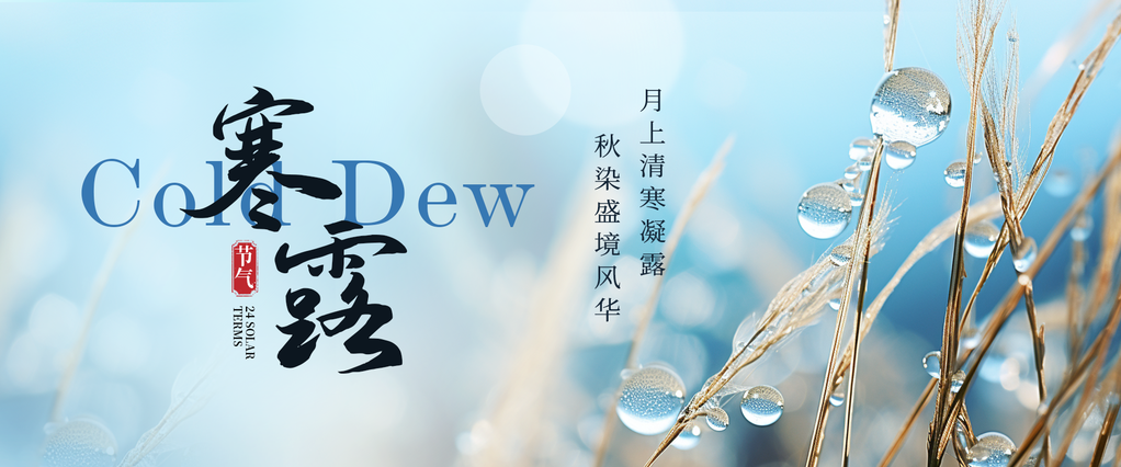 寒露节气海报设计