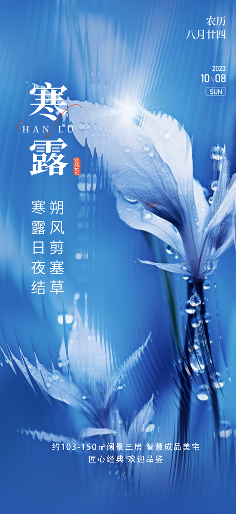 寒露节气海报设计