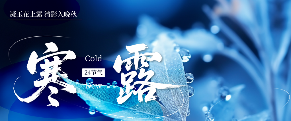 寒露节气海报设计
