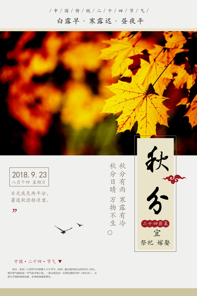 秋分节气海报素材模板
