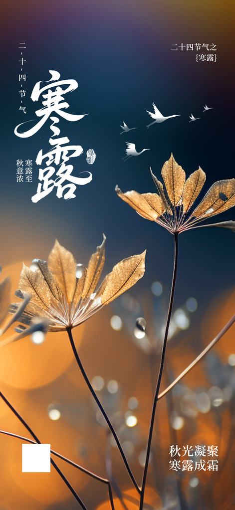 寒露节气海报设计